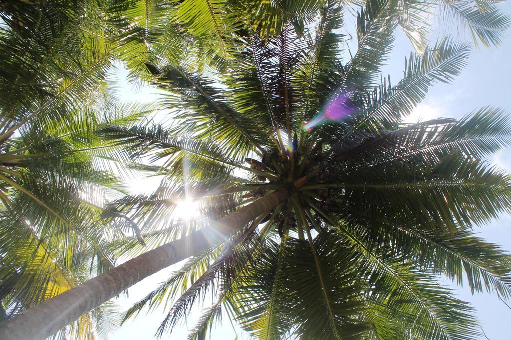 Huraa East Inn Exterior foto